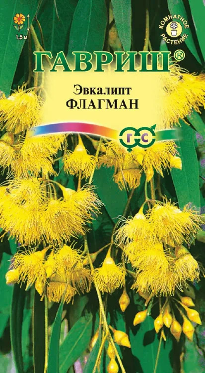 Семена. Эвкалипт лимонный «Флагман» | Комнатные цветы | Гавриш