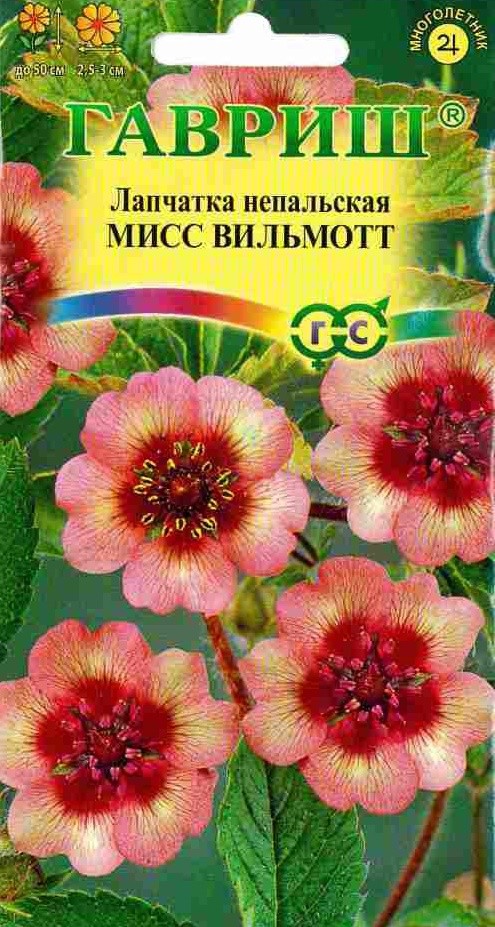 Семена. Лапчатка непальская «Мисс Вильмотт», 0,02 г | Многолетние цветы (Гавриш) | Гавриш