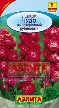Семена. Левкой высокорослый «Чудо», 0,1 г