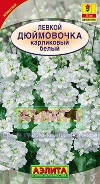 Семена. Левкой карликовый «Дюймовочка», белый, 0,1 г | Однолетние цветы (Аэлита) | Аэлита