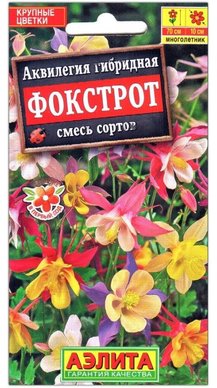 Семена. Аквилегия «Фокстрот», смесь, 0,1 г | Многолетники мира | Аэлита