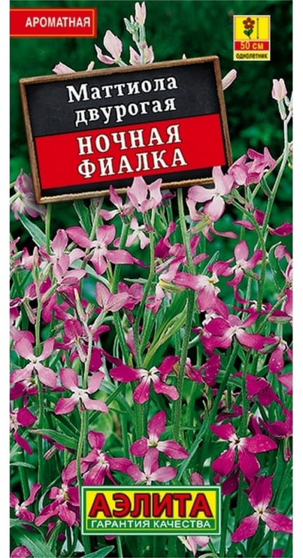 Семена. Маттиола двурогая «Ночная фиалка», 0,5 г | Однолетние цветы (Аэлита) | Аэлита