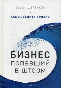 Бизнес, попавший в шторм. Как победить кризис