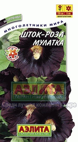 Семена. Шток-роза «Мулатка», 0,2 г | Многолетники мира | Аэлита