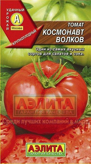 Томат космонавт волков отзывы фото кто сажал 47