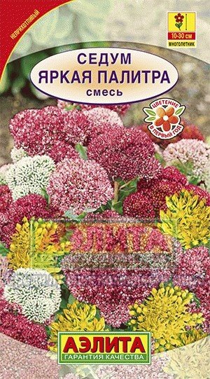Семена. Седум «Яркая палитра», смесь | Многолетние цветы (Гавриш) | Аэлита
