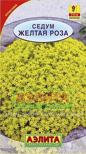Семена. Седум «Желтая роза»