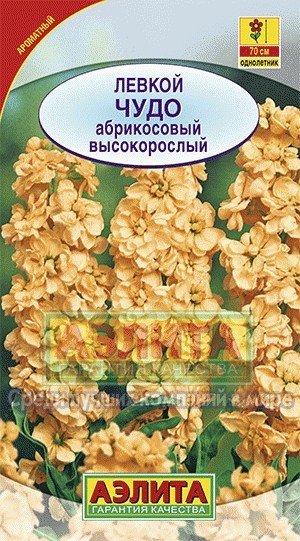 Семена. Левкой высокорослый «Чудо», абрикосовый, 0,1 г