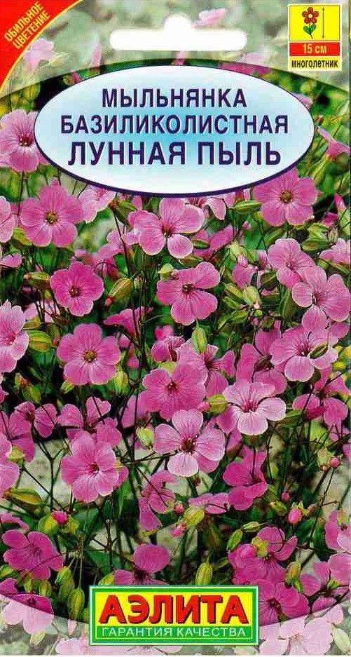 Семена. Мыльнянка «Лунная пыль», 0,1 г | Многолетние цветы (Аэлита) | Аэлита