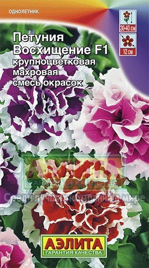 Семена. Петуния «Восхищение F1», смесь, 10 шт | Однолетние цветы (Аэлита) | Аэлита