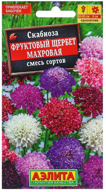 Семена. Скабиоза Махровая «Фруктовый щербет», смесь, 0,1 г | Однолетние цветы (Аэлита) | Аэлита