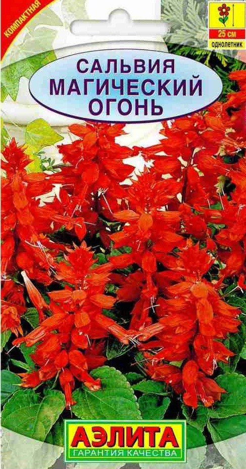 Семена. Сальвия «Магический огонь», 0,2 г | Однолетние цветы (Аэлита) | Аэлита