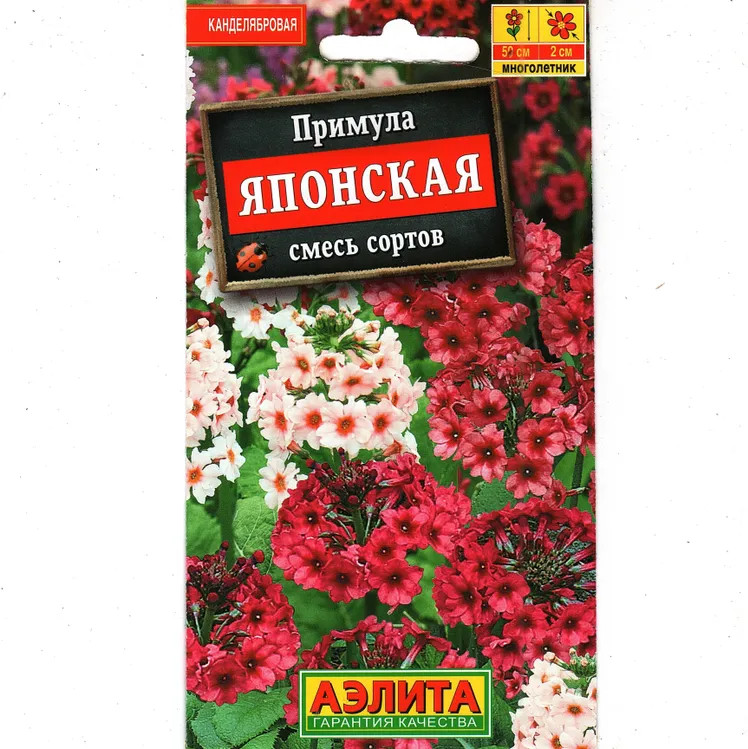 Семена. Примула «Японская смесь», смесь окрасок, 20 шт | Многолетние цветы (Аэлита) | Аэлита