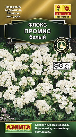 Семена. Флокс «Промис», белый, 10 шт | Однолетние цветы (Аэлита) | Аэлита