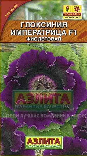 Семена. Глоксиния гибридная «Императрица F1», фиолетовая | Комнатное | Аэлита