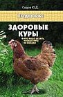 Здоровые куры. Что надо делать, чтобы куры не болели