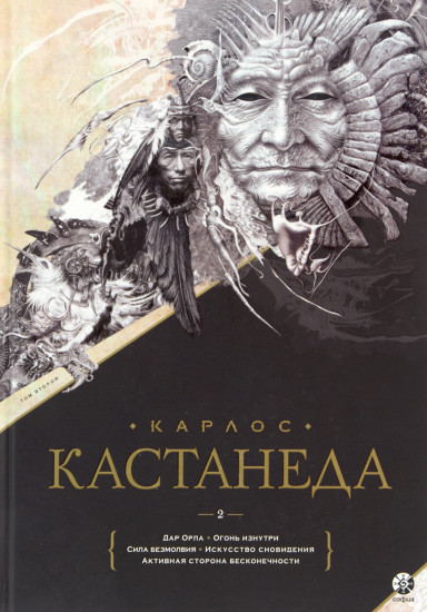 Дар Орла. Огонь изнутри. Сила безмолвия. Искусство сновидения. Активная сторона бесконечности. Том 2