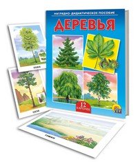 Наглядно-дидактическое пособие «Деревья» | Наглядно-дидактические пособия | Рыжий кот