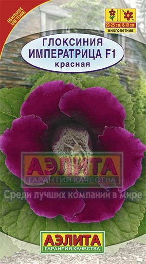 Семена. Глоксиния гибридная «Императрица F1», красная, 5 шт | Драже в пробирке | Аэлита