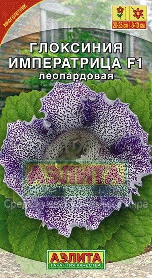 Семена. Глоксиния гибридная «Императрица F1», леопардовая, 5 шт | Драже в пробирке | Аэлита
