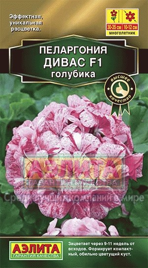 Семена. Пеларгония «Дивас F1», голубика | Аэлита