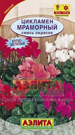 Семена. Цикламен крупноцветковый «Мраморный», смесь окрасок, 0,05 г. | Многолетние цветы (Аэлита) | Аэлита