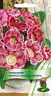 Семена. Глоксиния «Импресс» Красные чернила