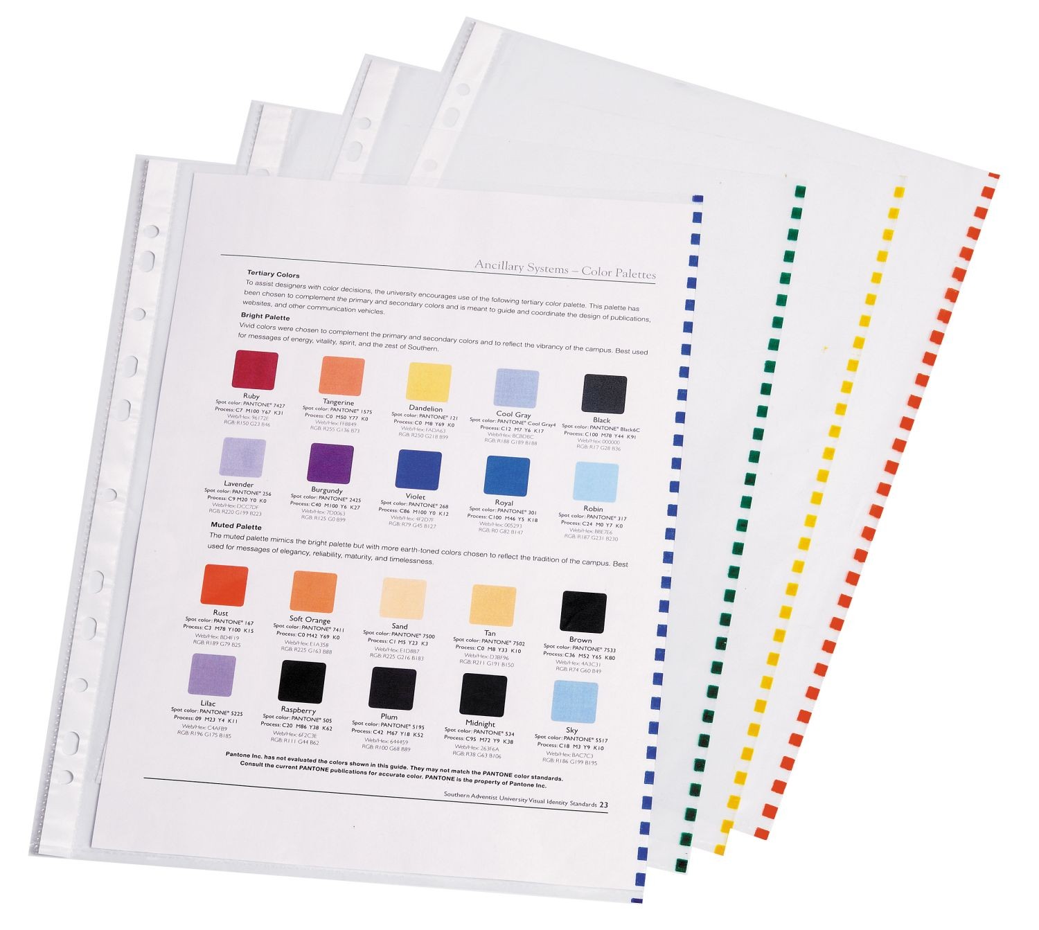 Перфофайл A4 «Semi-Clear Economy», 100 штук, с цветной полоской | Перфофайлы | Erich Krause