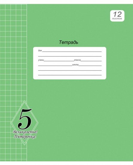 Тетрадь школьная «Великолепно! Пятёрка!», 12 листов, клетка, зеленый