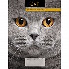 Дневник для средних и старших классов «Домашние любимцы. Дизайн 7 (15)»