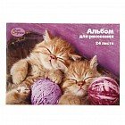 Альбом для рисования «Милые котята», 24 листа