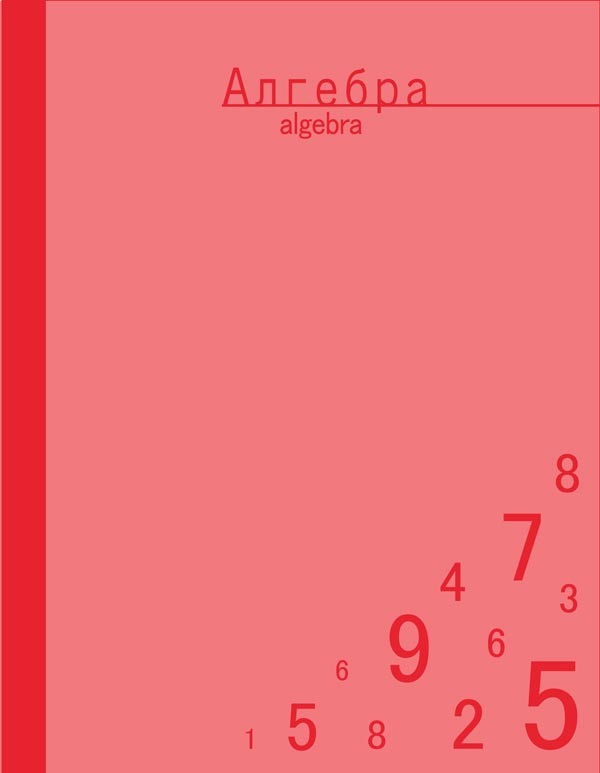 Тетрадь «Отличная. Алгебра», 48 листов, клетка | Тетради предметные | BG