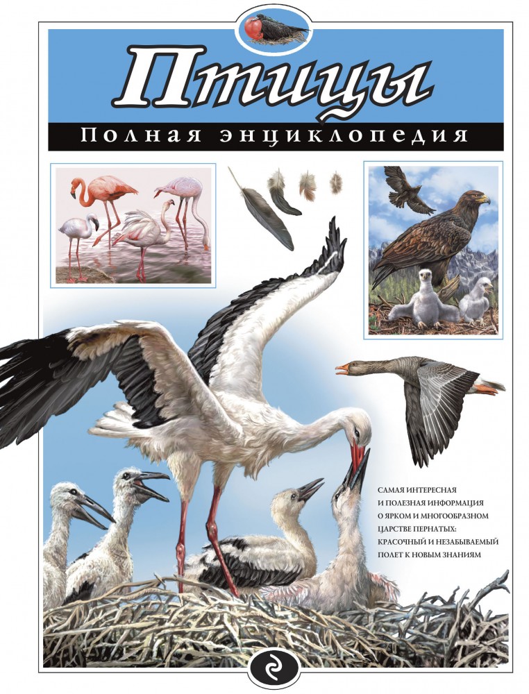 Птицы. Полная энциклопедия | Полная энциклопедия