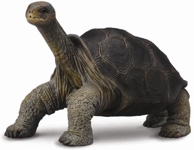 Фигурка декоративная «Абингдонская слоновая черепаха» | Collecta | Collecta