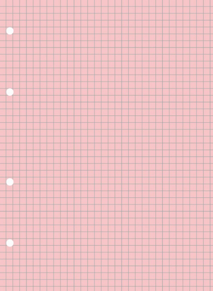 Сменный блок для тетрадей на кольцах А5, 80 листов, клетка, розовый | Erich Krause