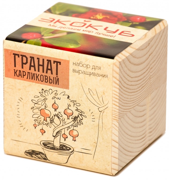 Набор для выращивания «Гранат» | Экокуб
