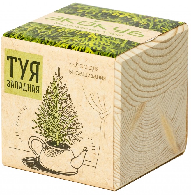 Набор для выращивания «Туя» | Экокуб
