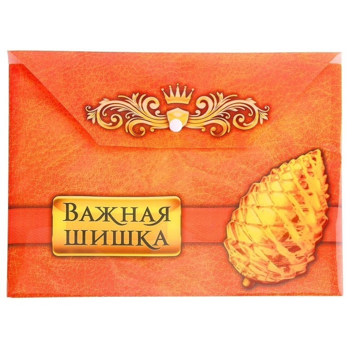 Конверт для документов с кнопкой А4 «Важная шишка»