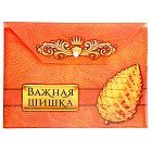 Конверт для документов с кнопкой А4 «Важная шишка»