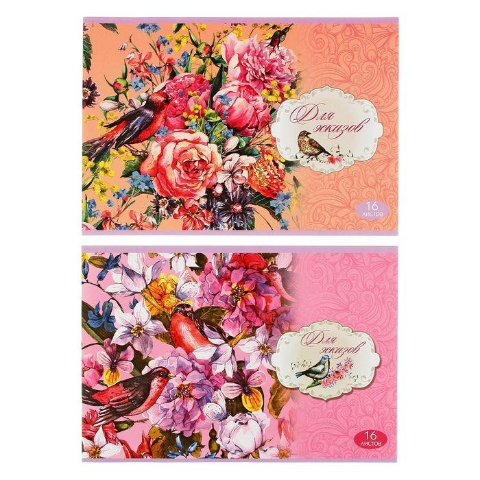 Блокнот для эскизов А4 «Beauty», 16 листов, в ассортименте | BG