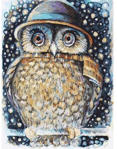 Набор для раскрашивания по номерам «Сова в шляпе» (30х40 см) | Белоснежка