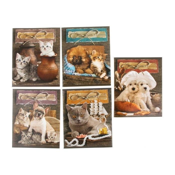 Тетрадь «Кот и пес», 48 листов, клетка, в ассортименте | ПЗБФ