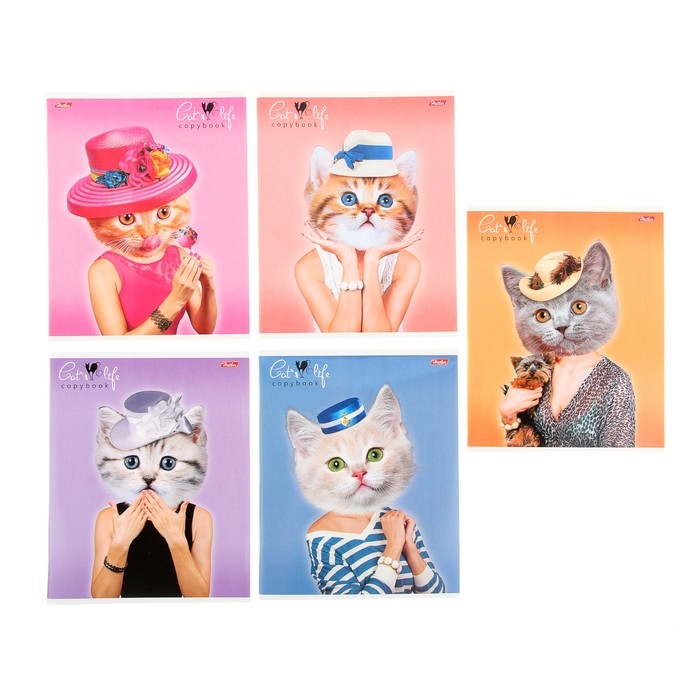 Тетрадь «Cat's life», 48 листов, клетка, в ассортименте | Hatber