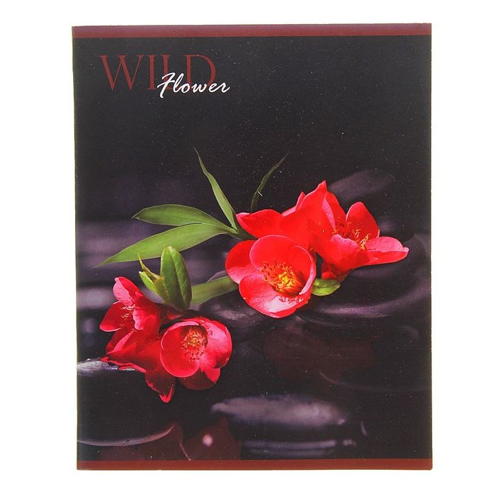 Тетрадь «Цветы на камнях», 48 листов, клетка | ТетраПром