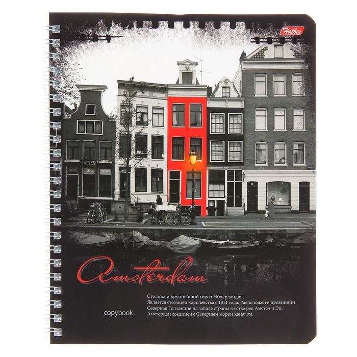 Тетрадь «Black&Red», 96 листов, клетка | Hatber