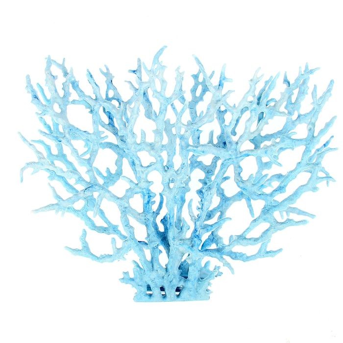 Коралл пластиковый большой, 24,5х4х19 см, голубой | Veny's
