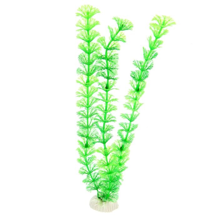 Растение аквариумное, до 28 см