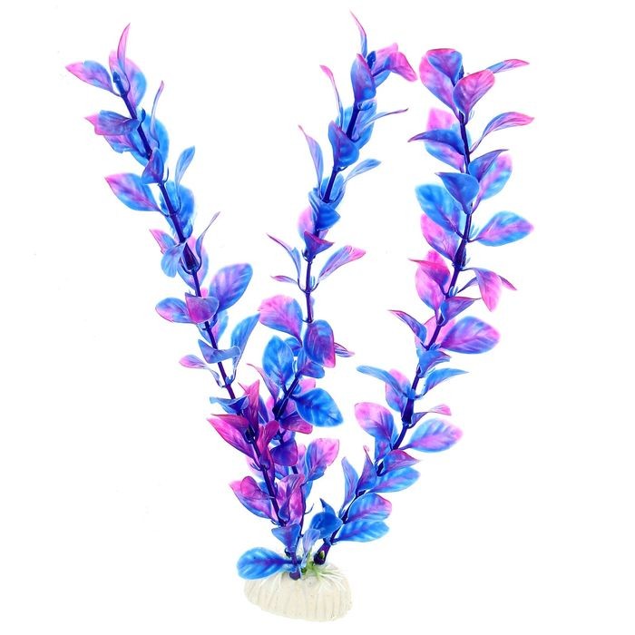 Растение аквариумное, до 28 см