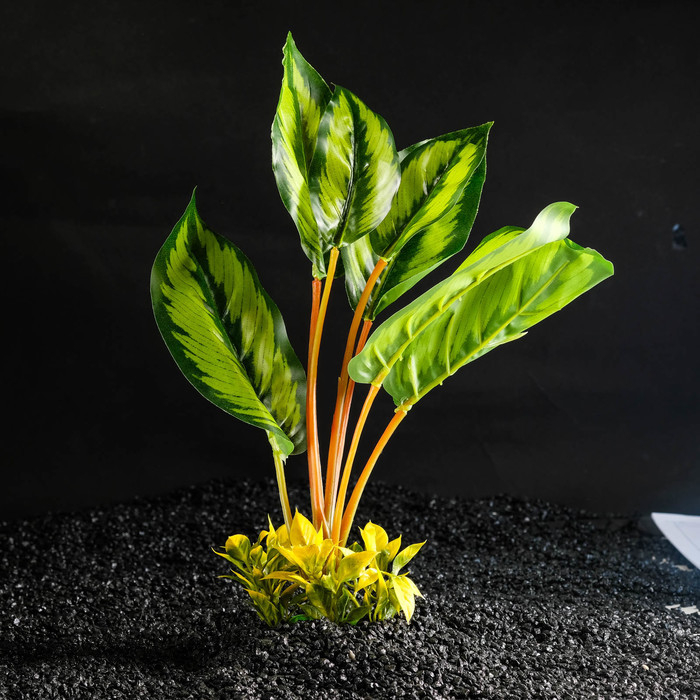 Растение аквариумное большое, 26х10х31 см