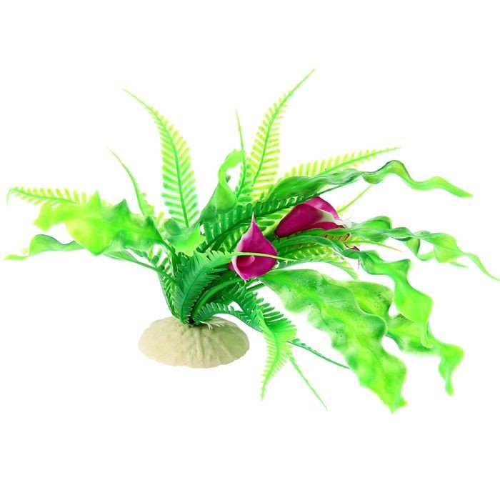 Растение аквариумное, 20х10х20 см